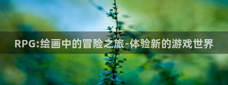 尊龙官方网站官网