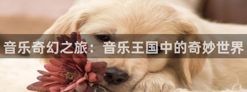 林正英和尊龙的关系